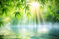 Green Bamboo Leaves Over Sunny Water Surface Royalty Free Stock Photo