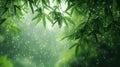 Green bamboo with nature background Royalty Free Stock Photo