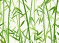 Green bamboo pattern Royalty Free Stock Photo