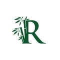 Green Bamboo R Letter Logo