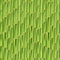 Green bamboo seamless texture Royalty Free Stock Photo