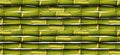 Green bamboo seamless wall fence texture, green bamboo background Royalty Free Stock Photo