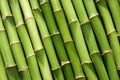Green bamboo stems as background Royalty Free Stock Photo