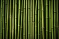 green bamboo stems background, strong bamboo plant Royalty Free Stock Photo