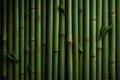 green bamboo stems background, strong bamboo plant Royalty Free Stock Photo