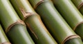 Green bamboo stems, close-up, display a smooth, shiny surface with distinctive nodes and Royalty Free Stock Photo