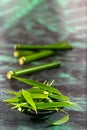 Green Bamboo stems isolated on the white background ,UNIQUE TASTE AND ASLO MEDICINAL VALUE