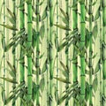 Green bamboo stems, leaves, twigs. Watercolor illustration in oriental, Asian style. Seamless pattern on a light Royalty Free Stock Photo