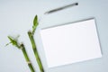 Green bamboo stems with leaves, white blank paper and a pen. Mock up template. Royalty Free Stock Photo