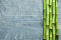 Green bamboo stems and space for text on wooden background Royalty Free Stock Photo