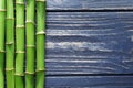 Green bamboo stems and space for text on wooden background Royalty Free Stock Photo