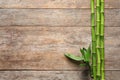 Green bamboo stems and space for text on wooden background Royalty Free Stock Photo