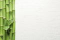 Green bamboo stems and space for text on wooden background Royalty Free Stock Photo