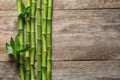 Green bamboo stems and space for text on wooden background Royalty Free Stock Photo