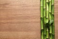 Green bamboo stems and space for text on wooden background Royalty Free Stock Photo