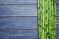 Green bamboo stems and space for text on wooden background Royalty Free Stock Photo