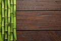 Green bamboo stems and space for text on wooden background Royalty Free Stock Photo