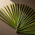 Green bamboo sticks, arranged in a Royalty Free Stock Photo