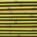 Green bamboo sticks are arranged in parallel horizontal lines against a light brown Royalty Free Stock Photo