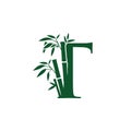 Green Bamboo T Letter Logo