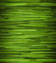 Green bamboo texture with natural patterns, close up. Royalty Free Stock Photo