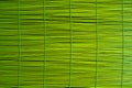 Green bamboo texture with natural patterns Royalty Free Stock Photo