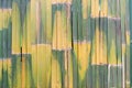 Green bamboo texture with natural patterns Royalty Free Stock Photo