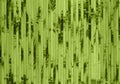 Green bamboo texture with natural patterns Royalty Free Stock Photo
