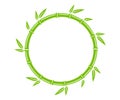 Green bamboo trunk circle frame. Natural round text box. Bamboo branch border with leaves. Blank frame template. Vector