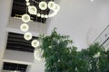 Green bamboo under the ceiling with a decorative chandelier made of luminous balls in a shopping mall. Soft focus. Royalty Free Stock Photo
