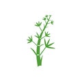 Green bamboo Vector illustration. Green bamboo background Royalty Free Stock Photo