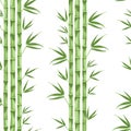 Green bamboo on a white background seamless pattern. Vector illustration of green stems and bamboo leaves Royalty Free Stock Photo
