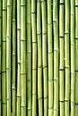 Green bamboo wood wall background texture vertical Royalty Free Stock Photo