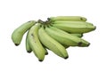 Green Banana bunch siolated Royalty Free Stock Photo