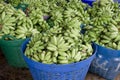 Green banana bundle in basket ready to sell