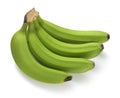 Green banana bundle