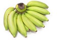 Green banana bundle