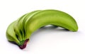 Green banana bundle