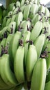 Green banana