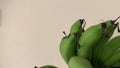 Green Banana with cream background for healhty food during diet remedy Royalty Free Stock Photo