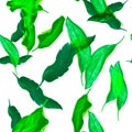 Green Banana Foliage. Organic Seamless Backdrop. Natural Tropical Illustration.