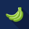 Green banana fruit cartoon vector on blue background