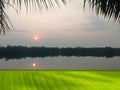 Green banana leaf counter at sunrise in the swamp at dawn. Can be used as a display stand for presentations and advertisements