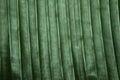 Green banana leaf texture Royalty Free Stock Photo