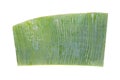 Green banana leaf with water drops isolated on white background Royalty Free Stock Photo