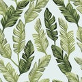 Green banana leaves seamless white backgorund