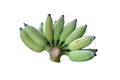 Green banana ,Thai cultivated banana Royalty Free Stock Photo