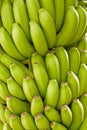 Green bananas