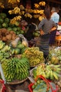 Green bananas, coconuts and watermelon