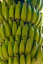 Green bananas. fruits background image Royalty Free Stock Photo